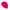 puce tc