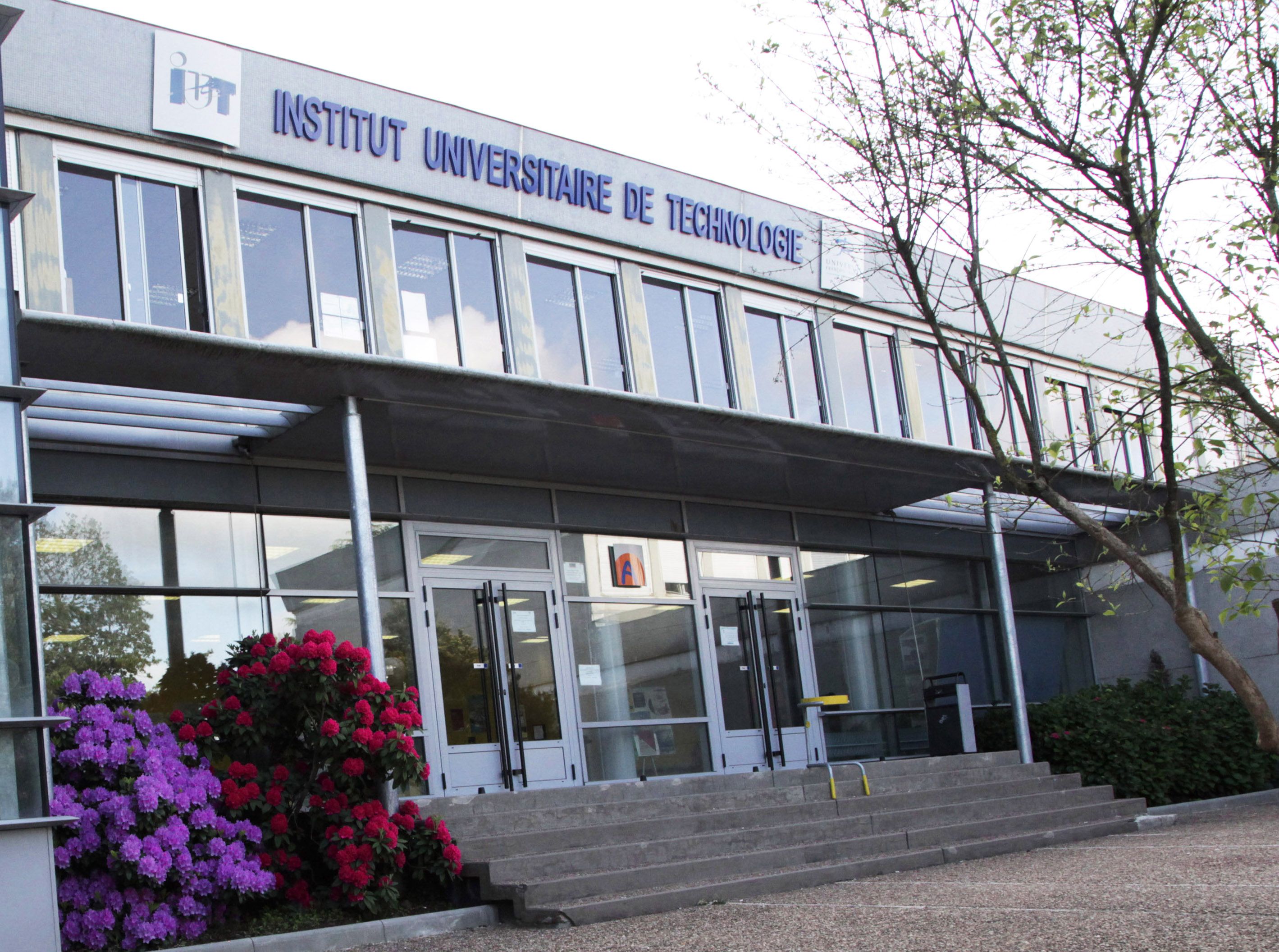 secretariat iut tours