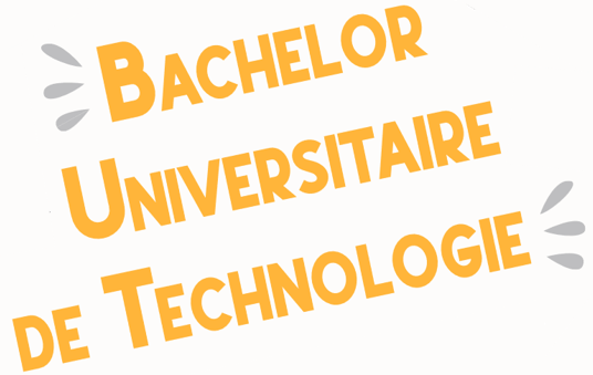 Bachelor Universitaire de Technologie - IUT de Tours